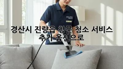 ✨ 경산시 진량읍 창문 청소, 서비스 추가 옵션으로 ✨
