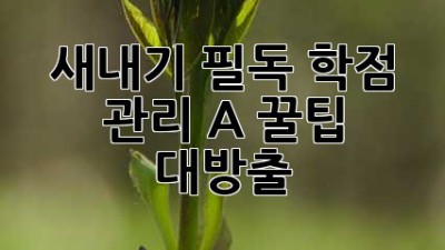 🎒 새내기 필독! 학점 관리 A+ 꿀팁 대방출 🍯