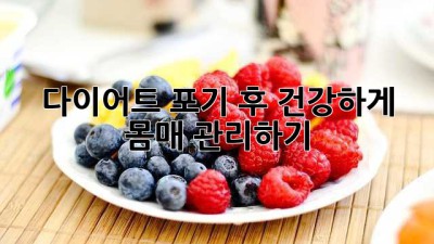 다이어트 포기 후 건강하게 몸매 관리하기